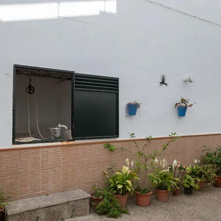 Elvira Conil De La Frontera